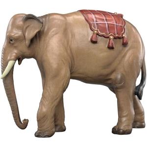 Elephant without luggage