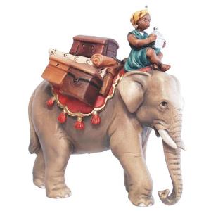 Elephant with baggage and driver