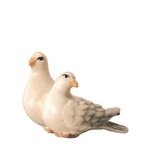 A pair of dove