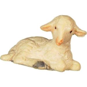 Lamb lying