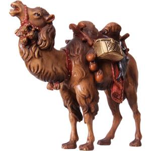 Camel with baggage