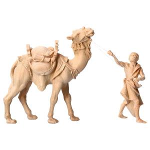 MO Standing camel group 3 Pieces