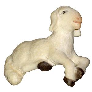 Lying down lamb
