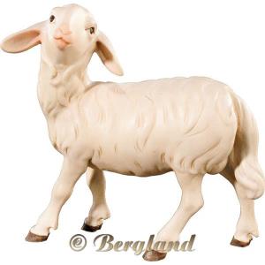 Sheep head upholding (without base)