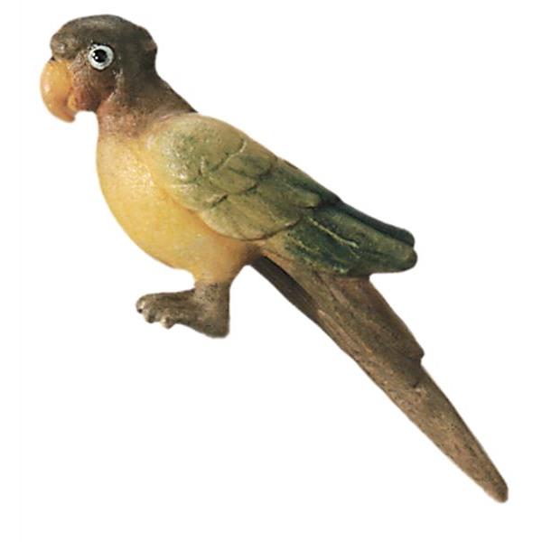 Parrot - color