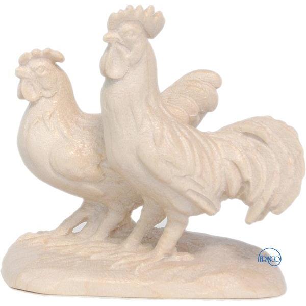 Group of cock and hen - natural