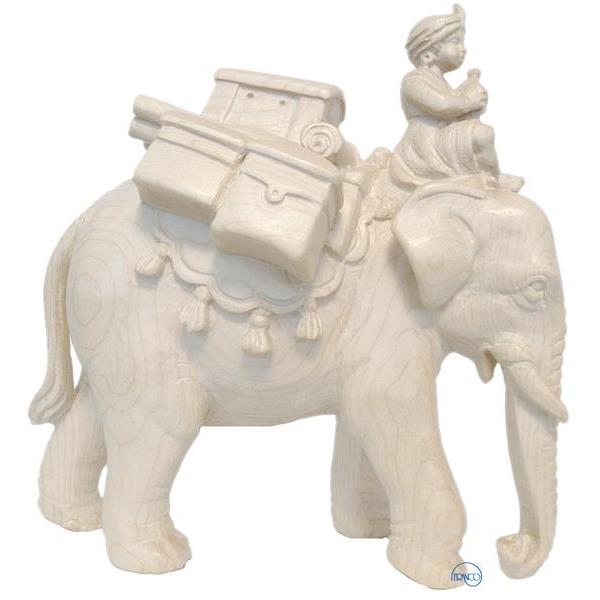 Elephant with baggage and driver - natural