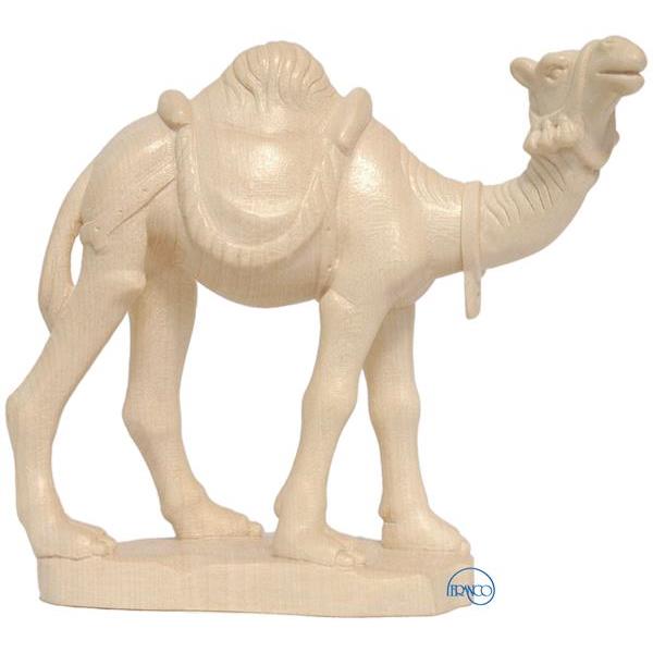Camel - natural