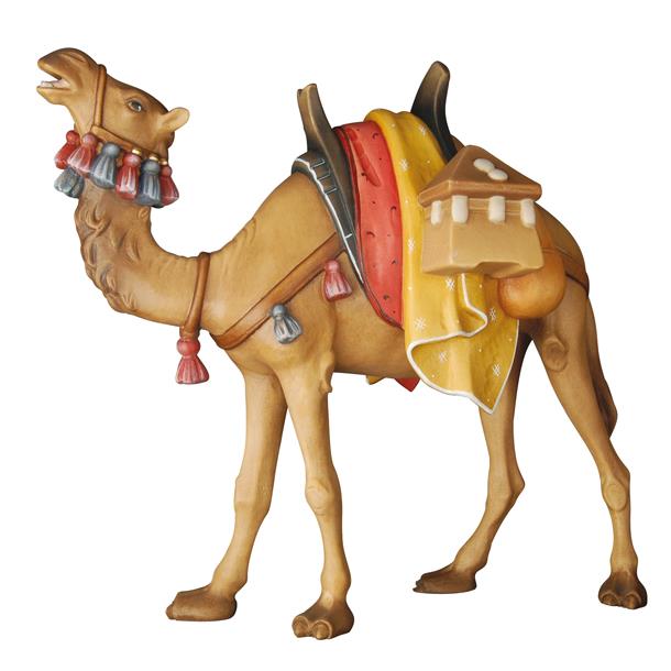 camel - color