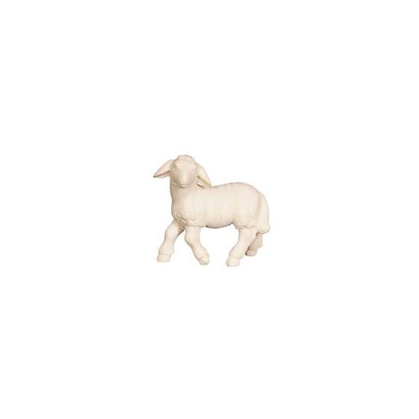 PE Lamb standing looking left - natural