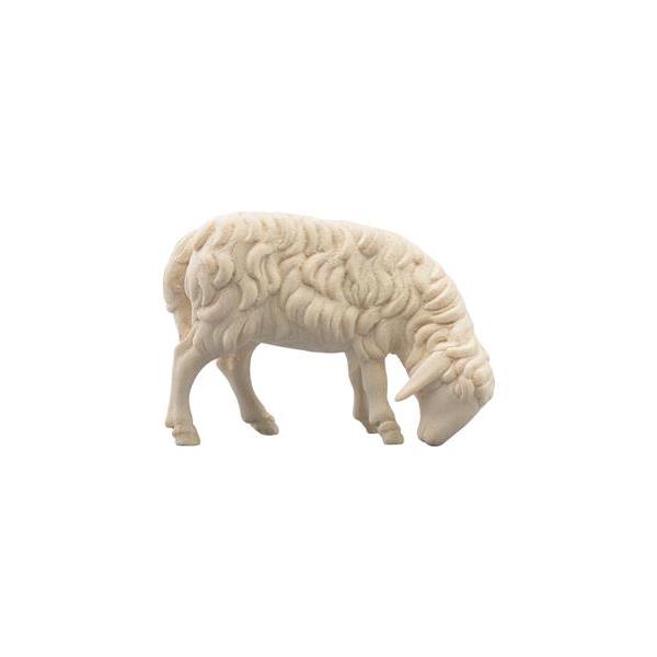 SI Sheep grazing right - natural