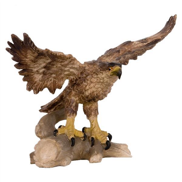 Golden eagle - Acquarel