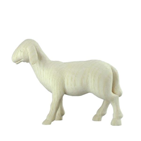 Sheep standing "M" - natural