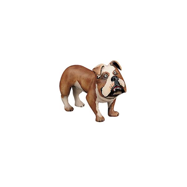 Bulldog (with pedestal in plexiglas) - color