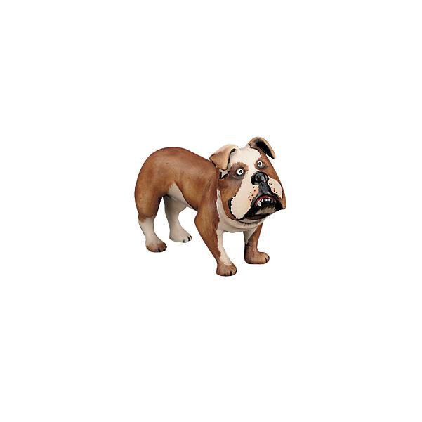 Bulldog (without pedestal in plexiglas) - color