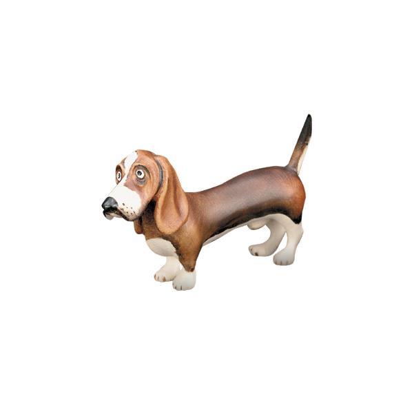 Basset hound (without pedes. in plexi) - color