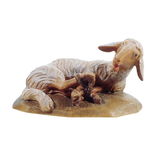 Sheep lying down(apr.for sheph.10700/51 - color