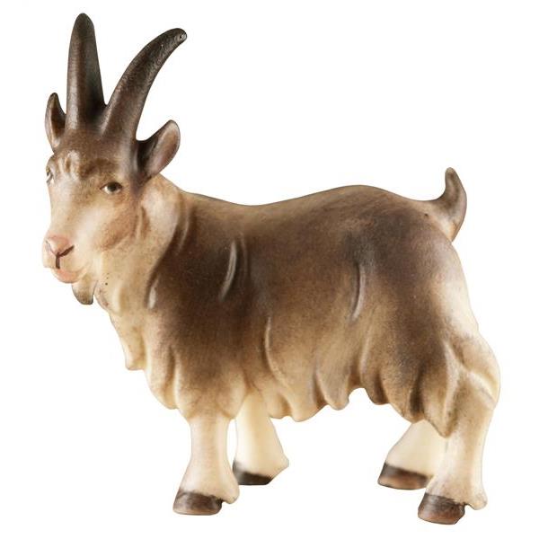 Goat standing - Acquarel