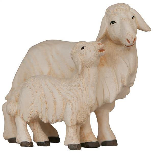 Sheep with Lamb - color