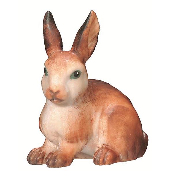 Rabbit sitting - color