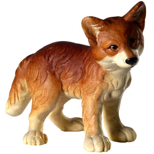 Fox puppy standing - color