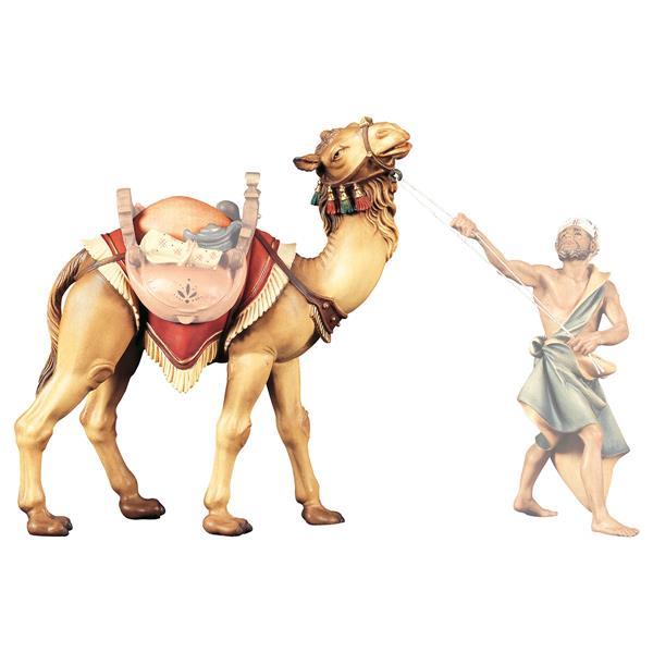 SH Standing camel - color