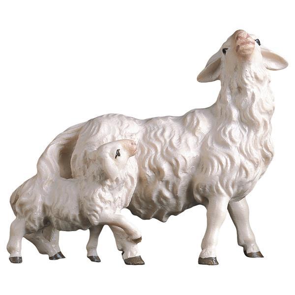 SH Sheep with lamb at it´s back - color