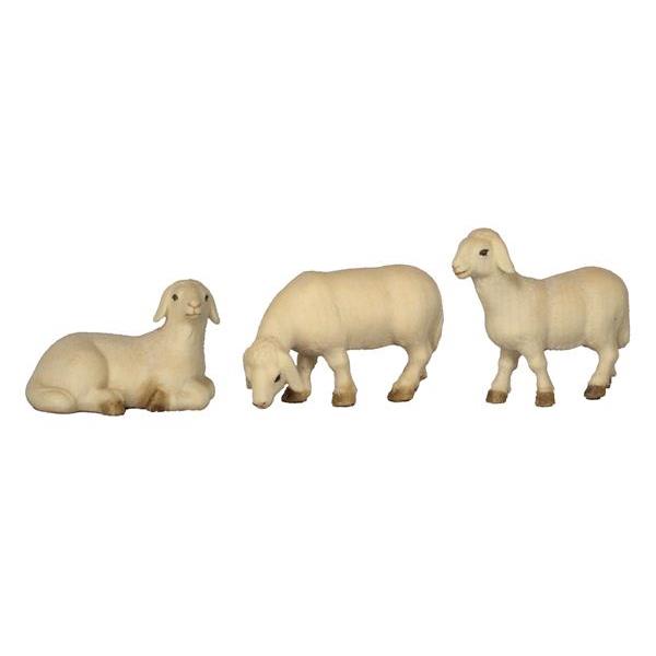 3 sheep - color