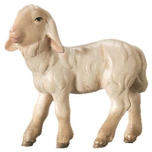Agnello in piedi