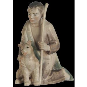 Shepherd with dog
