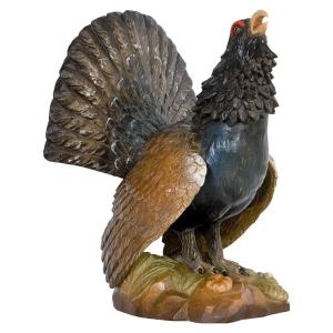 Gallo cedrone
