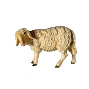 Sheep "Bavaria"