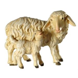 Pecora con agnellino