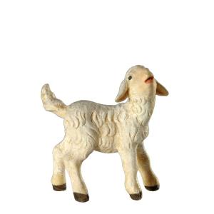 Agnellino