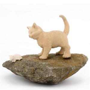 gatto con topolino