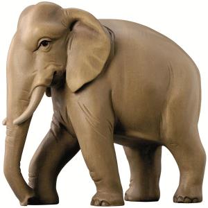 Elephant modern