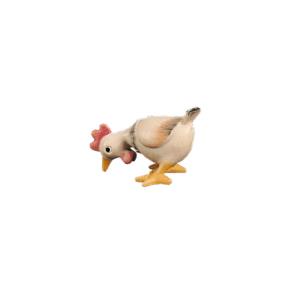 Gallina che mangia