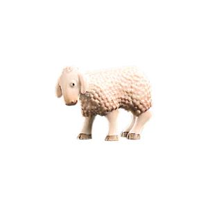 Agnello