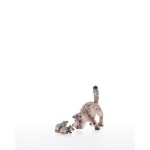 Gatto senza topolini