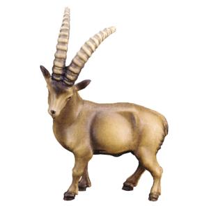 Ibex (without pedestal)