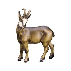 Chamois (without pedestal)