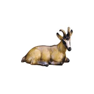 Female chamois lying (w/out pedestal)