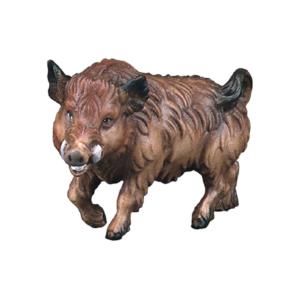 Wild boar