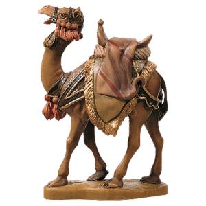 Camel