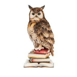 gufo su libri
