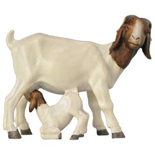mucca sdraiata