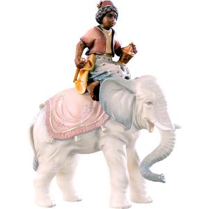 Conducente d'elefante B.K.