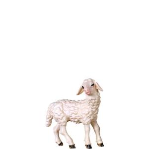 Agnello B.K.