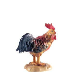Gallo B.K.
