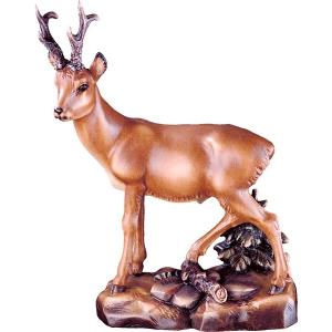 Capriolo